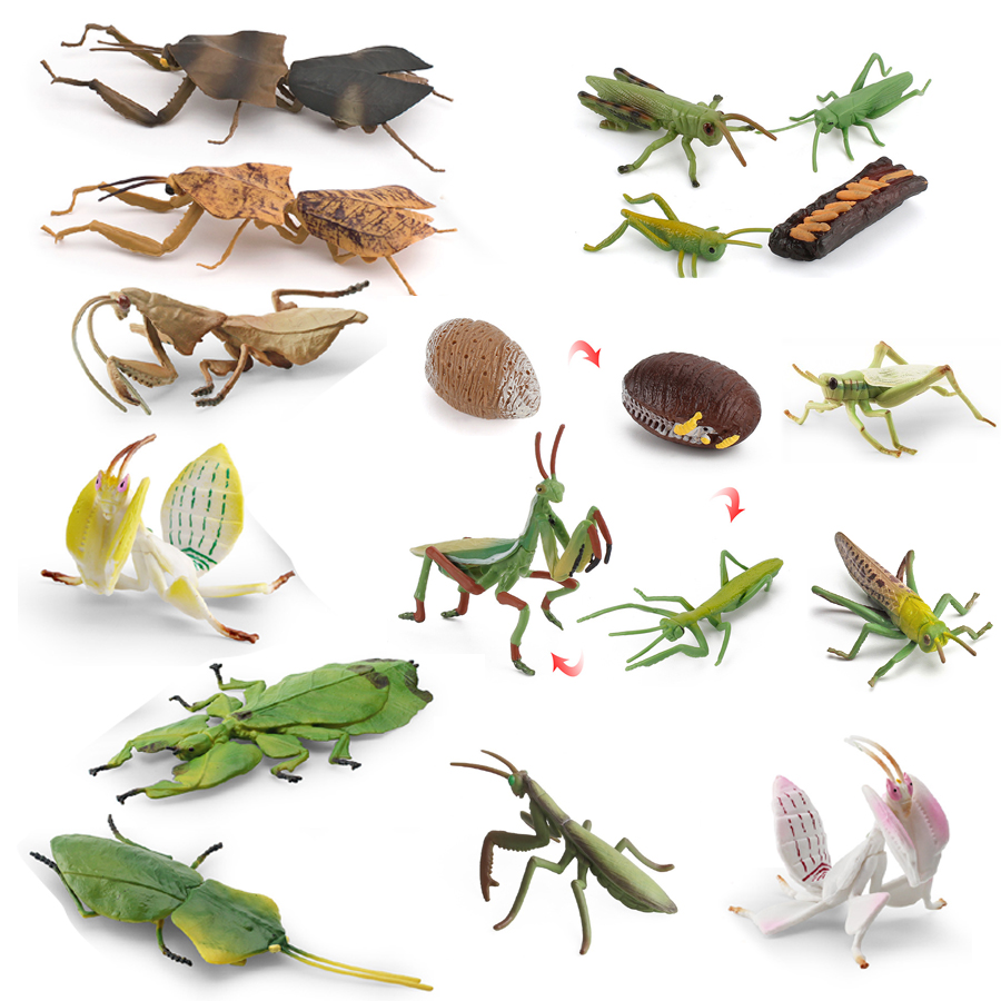 Home Improvement Kids - Realistische Orchideen-Mantis, tote Blatt-Mantis, riesiges Blattinsektenmodell,