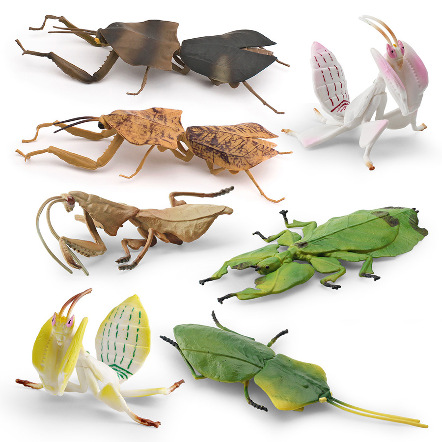 Realistische Orchideen-Mantis, – Home Improvement Kids Bewertung und Preis
