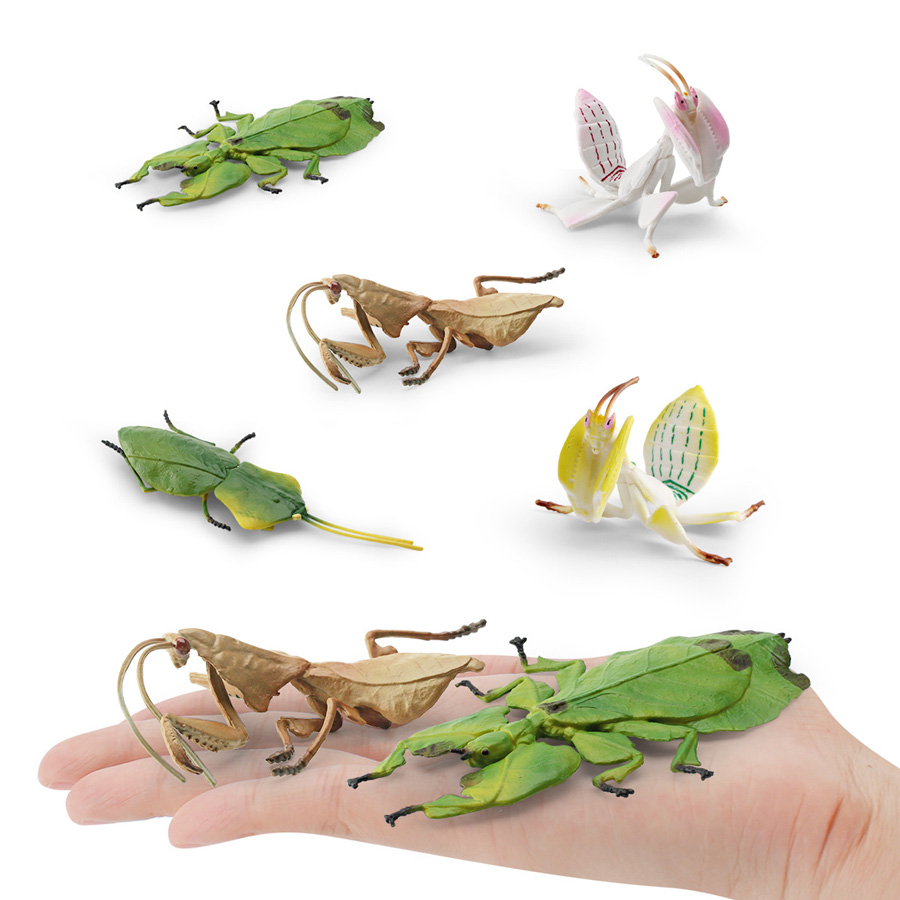 Realistische Orchideen-Mantis, – Home Improvement Kids Bewertung und Preis